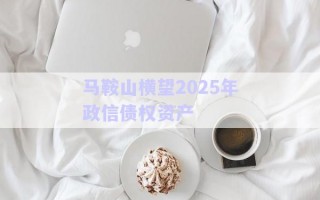 馬鞍山橫望2025年政信債權資產