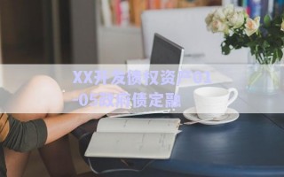 XX開(kāi)發(fā)債權(quán)資產(chǎn)01-05政府債定融
