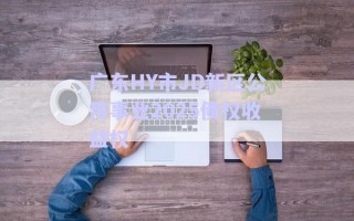 廣東HY市JD新區(qū)公用事業(yè)2025債權(quán)收益權(quán)