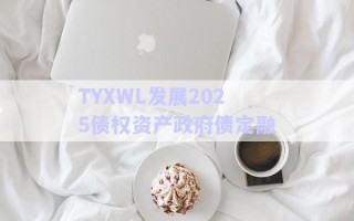 TYXWL發(fā)展2025債權資產政府債定融