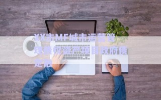 XX市MF城市運營管理債權(quán)資產(chǎn)項目政府債定融