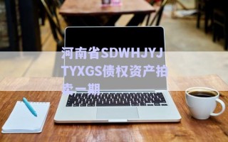 河南省SDWHJYJTYXGS債權資產拍賣一期