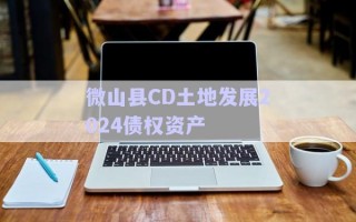 微山縣CD土地發(fā)展2024債權資產