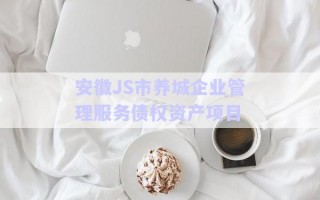 安徽JS市養(yǎng)城企業(yè)管理服務債權(quán)資產(chǎn)項目