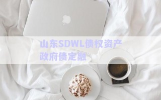 山東SDWL債權(quán)資產(chǎn)政府債定融