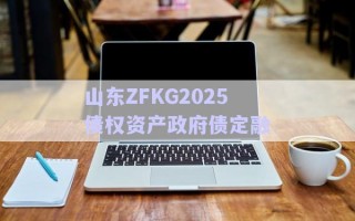 山東ZFKG2025債權資產政府債定融