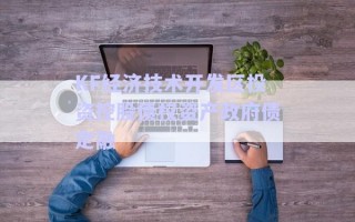 KF經濟技術開發(fā)區(qū)投資控股債權資產政府債定融