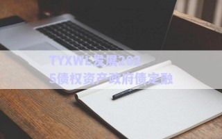 TYXWL發(fā)展2025債權資產政府債定融