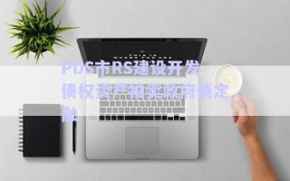 PDS市RS建設開發(fā)債權資產(chǎn)拍賣政府債定融