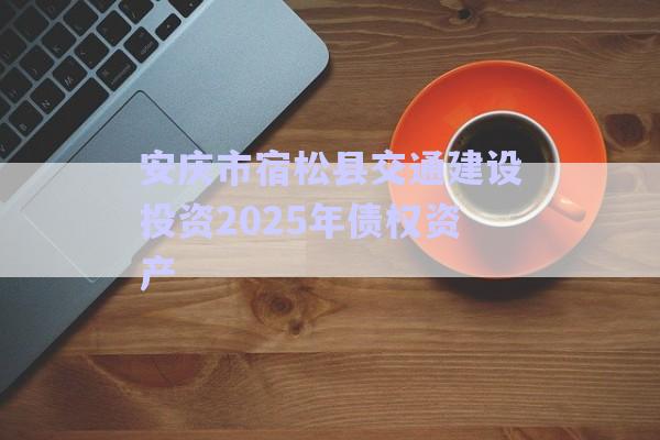 安慶市宿松縣交通建設(shè)投資2025年債權(quán)資產(chǎn)-第1張圖片-政信固收網(wǎng) 安慶市宿松縣交通建設(shè)投資2025年債權(quán)資產(chǎn)-第1張圖片-政信固收網(wǎng)